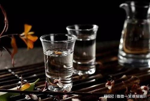 醬香酒品鑒入門(mén)指南 解鎖醇香滋味的六大技巧